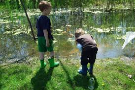 Two boys catching frogs by a pond