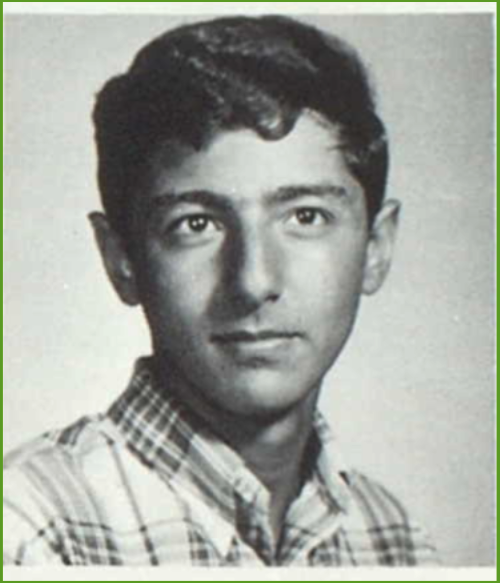 Razi Saydjari in High School